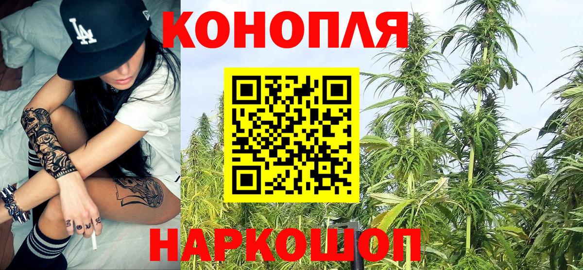 Бошки марихуана план  Бошки марихуана тримм  Каннабис THC 21%  Вход с VPN  Бошки марихуана AK-47  Зеленогорск 